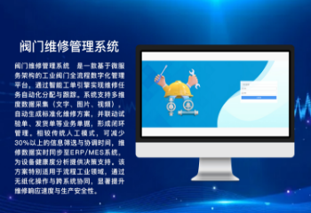 阀门维修管理系统‌